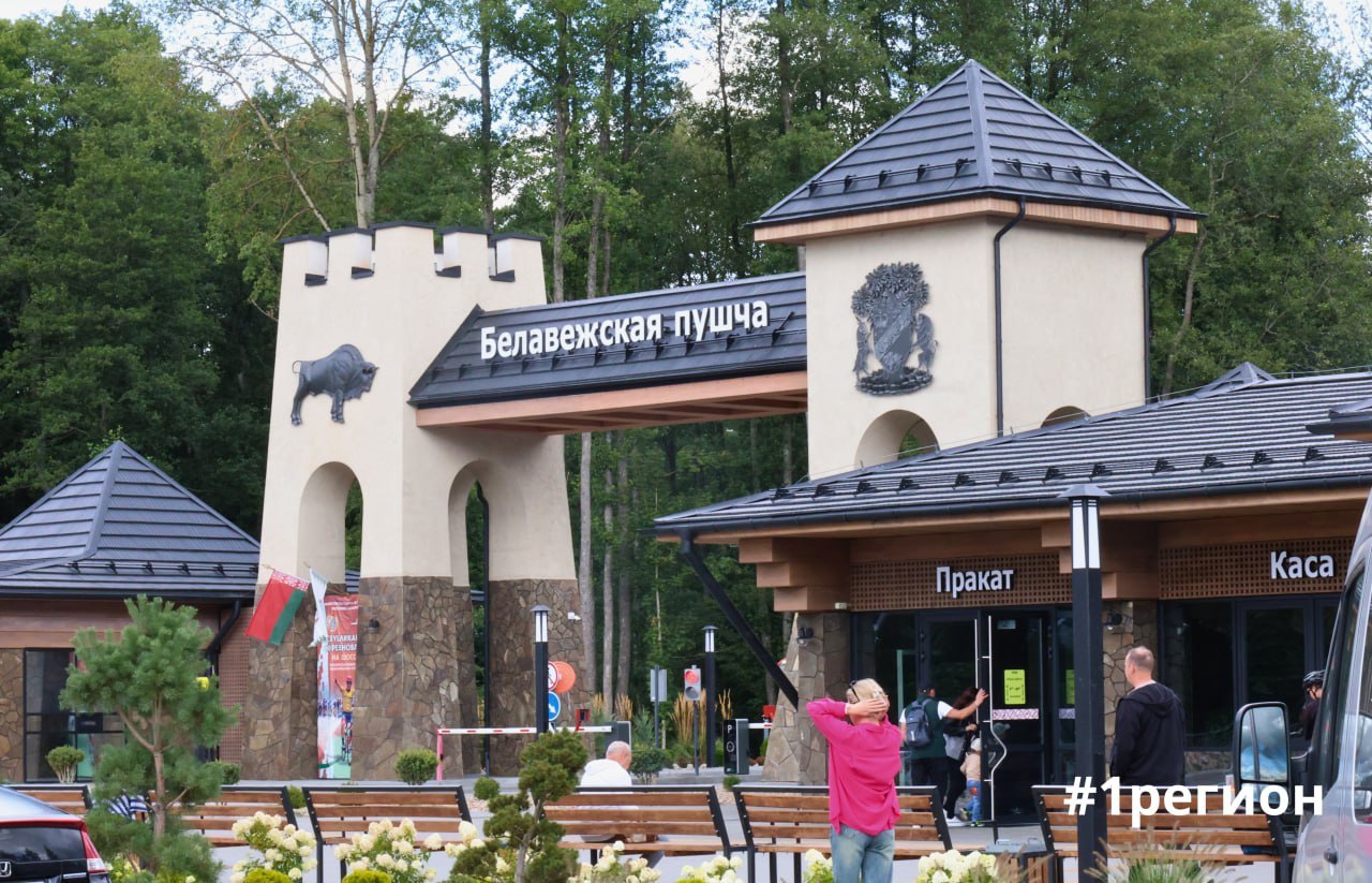 При подготовке культурно-зрелищного мероприятия «Техно-рейв» в Беловежской пуще изначально были учтены нормы природоохранного законодательства