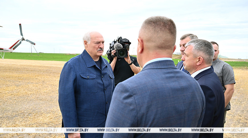 "Теряем огромное количество земель". Лукашенко поручил подумать над техникой для кошения пойм рек