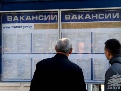 13 электронных ярмарок вакансий проведут в Брестской области в сентябре
