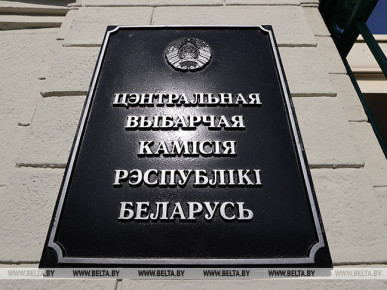 ЦИК: окружные и территориальные комиссии должны быть образованы не позднее 11 декабря