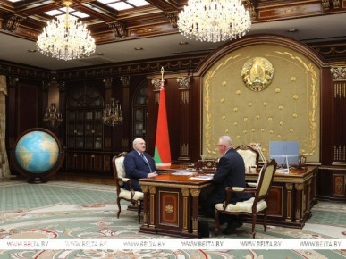 Лукашенко о президентских выборах в Беларуси: постараемся провести так, чтобы комар носа не подточил