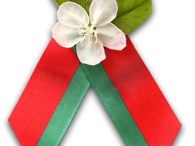 В преддверии Дня Победы адвокаты проведут бесплатные консультации малообеспеченных