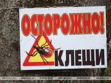 В Брестской области активизировались клещи
