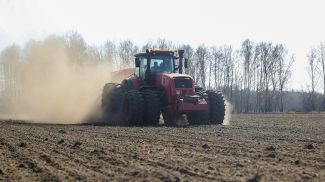 В Брестской области 13 из 16 районов включились в сев ранних яровых зерновых культур