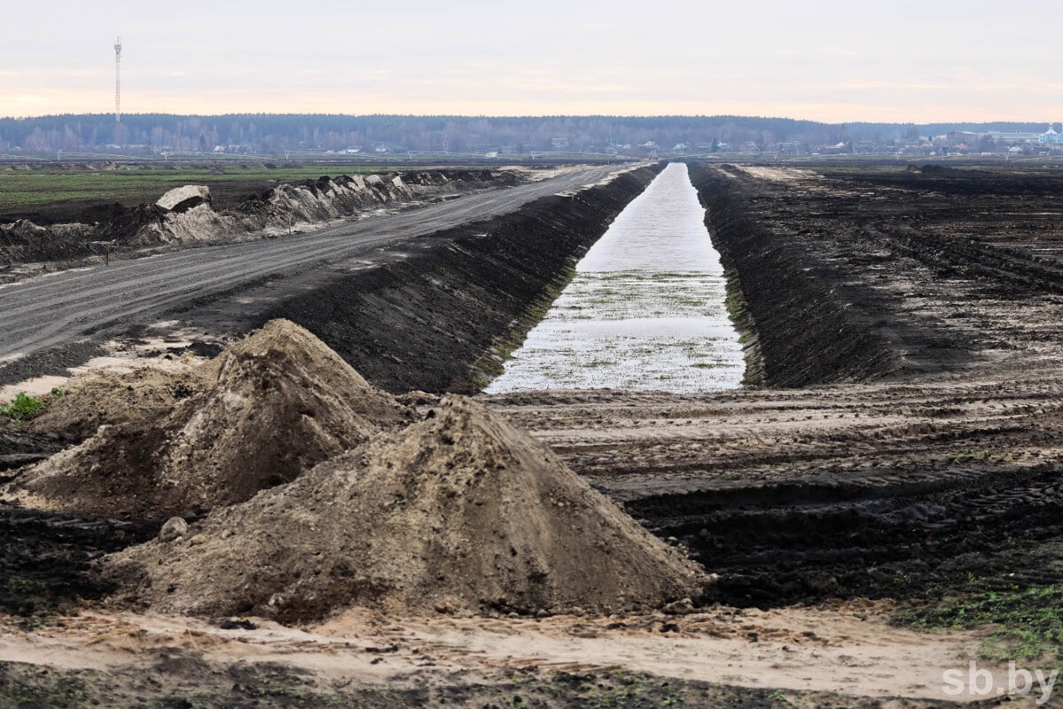 За минувшую пятилетку в Брестской области ввели в эксплуатацию 110,7 тысячи гектара обновленных мелиорированных земель