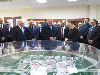 Лукашенко: завершение БелАЭС - один из подарков народу Беларуси к 7 ноября