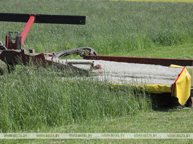 В Брестской области 67% комбайнов прошли техосмотр и готовы к заготовке кормов
