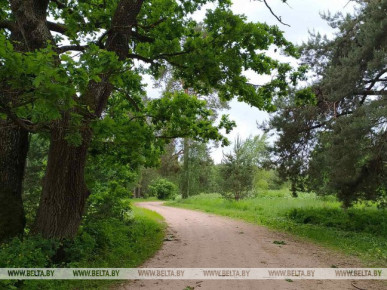 ПОСЕЩЕНИЕ ЛЕСОВ ОГРАНИЧЕНО В 57 РАЙОНАХ БЕЛАРУСИ