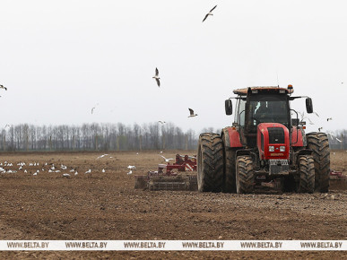Головченко: весенний сев должен быть проведен в оптимальные сроки с соблюдением всех требований