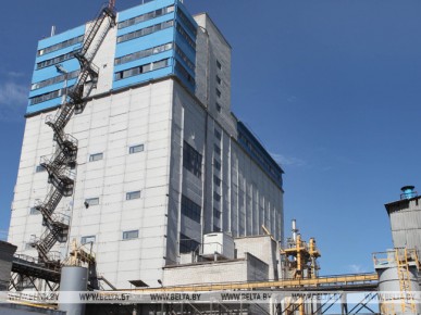 Жабинковский комбикормовый завод построит линию по выпуску сухих кормов для домашних питомцев