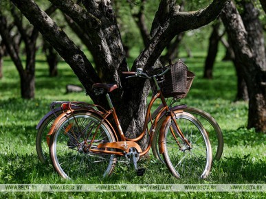 Квест, поездка к Деду Морозу и угощение ухой: велосезон в Беловежской пуще откроют 22 апреля