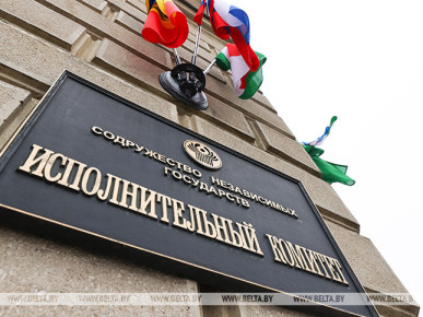 Первое заседание Комиссии по правам человека СНГ пройдет 29 ноября в Минске