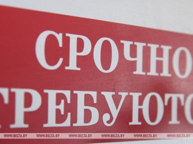 Вакансии на строительном и деревообрабатывающем предприятиях предложат в Бресте 21 августа
