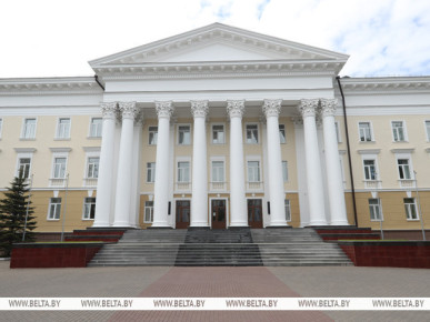 Минобороны Беларуси проводит проверку по факту нарушения госграницы беспилотниками