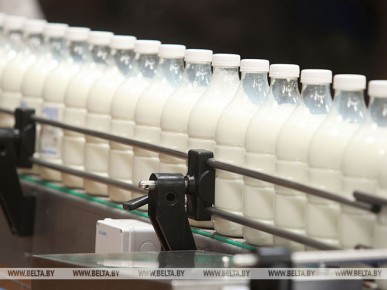 Лукашенко перечислил задачи в сфере продовольственной безопасности, которые надо решить в ЕАЭС