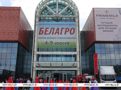 Агропромышленная выставка "Белагро" открылась в "Великом камне"