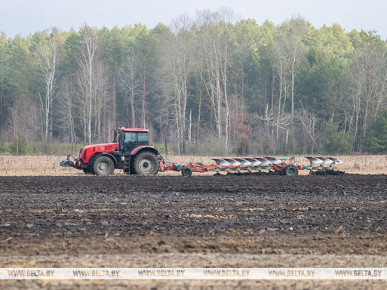 В Беларуси начался сев ярового рапса