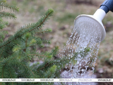 Республиканский субботник пройдет в Беларуси 20 апреля