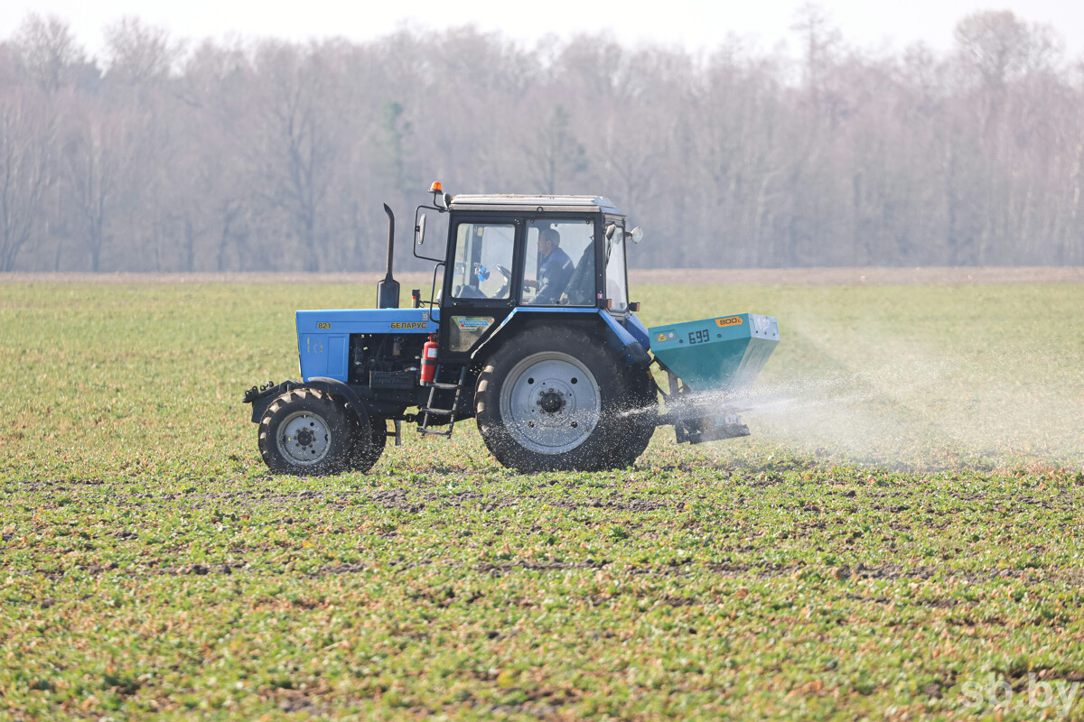 Аграрии Брестской области проводят подкормку озимых культур и готовят почву для весенней посевной