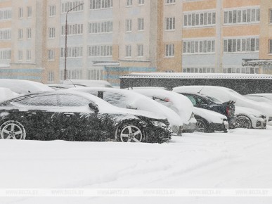 За сутки в Брестской области выпало до двух декадных норм осадков