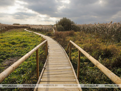 Туристический кластер объединит Барановичи, Барановичский, Ганцевичский и Ляховичский районы