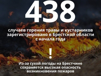 Брестское областное управление МЧС: Из-за сухой погоды на Брестчине сохраняется высокая опасность возникновения пожаров. Так, с начала года в области зарегистрировано 438 случаев горения травы и кустарников на площади более 44,3 гектара (за тот же период 