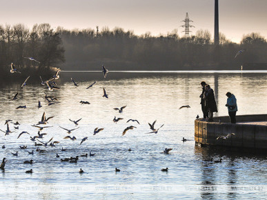 Бюджет Брестской области в 2024 году сохранит социальную направленность