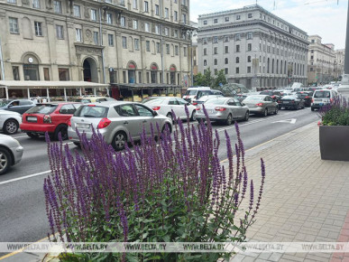 ГАИ: С 25 АВГУСТА ПО 5 СЕНТЯБРЯ ВОДИТЕЛИ ДОЛЖНЫ БУДУТ ЕЗДИТЬ С ВКЛЮЧЕННЫМ БЛИЖНИМ СВЕТОМ ФАР