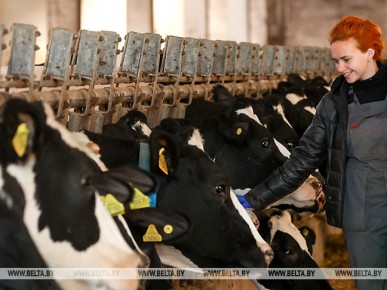 Более 150 ветврачей и фельдшеров придут летом на работу в хозяйства Брестской области